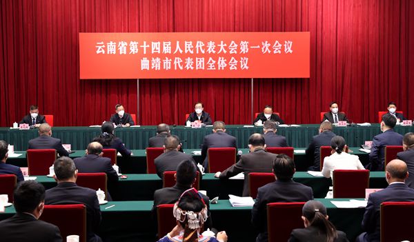 6001 王宁参加曲靖市代表团审议(18975768)-20230111212239_副本.jpg