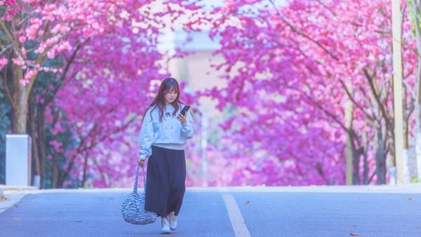 云南大学呈贡校区花海(28725592)-20240120082723.jpg