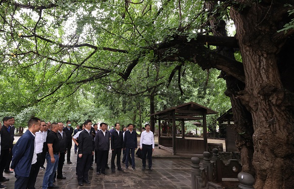 王予波省长在保山市调研4-600.jpg