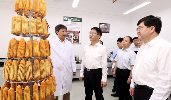 王予波.jpg 王予波.jpg