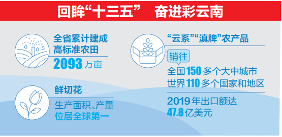 高原特色农业.png